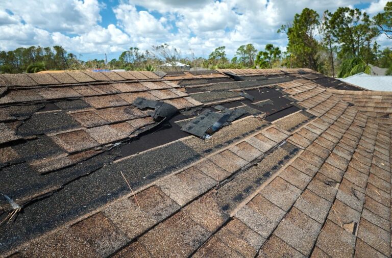 storm damage roof repair in Garden Ridge, TX