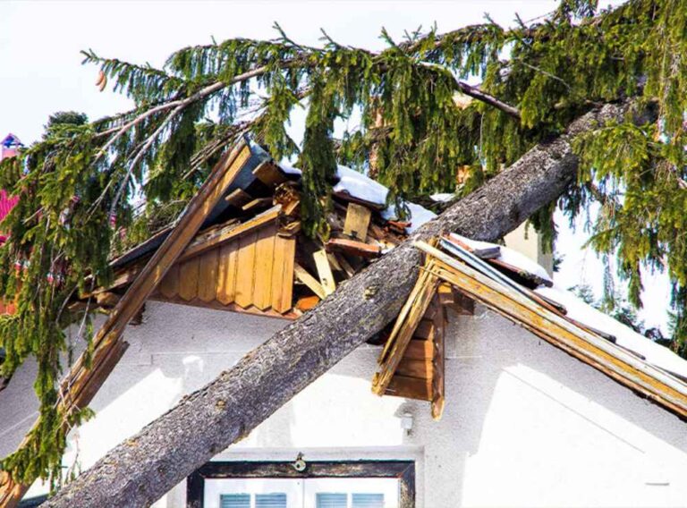 Trusted Storm Damage Restoration in Grey Forest, TX