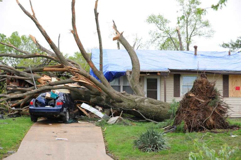 Trusted Storm Damage Repair in New Braunfels, TX