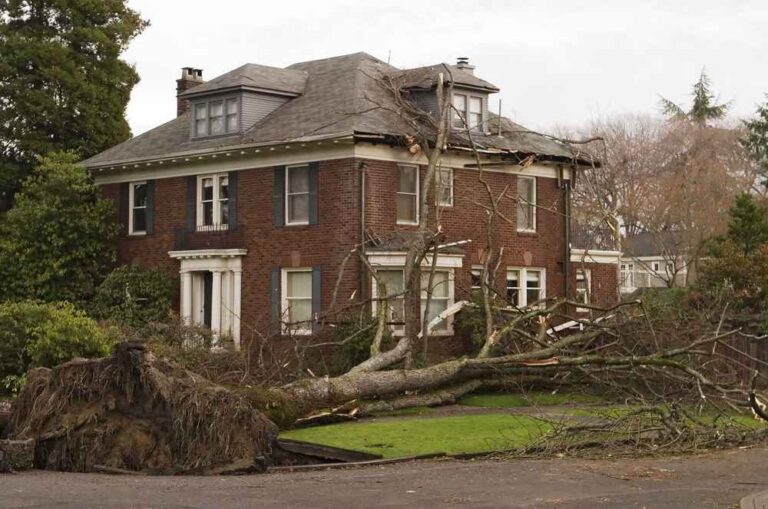 Trusted Storm Damage Roof Restoration in Shavano Park TX