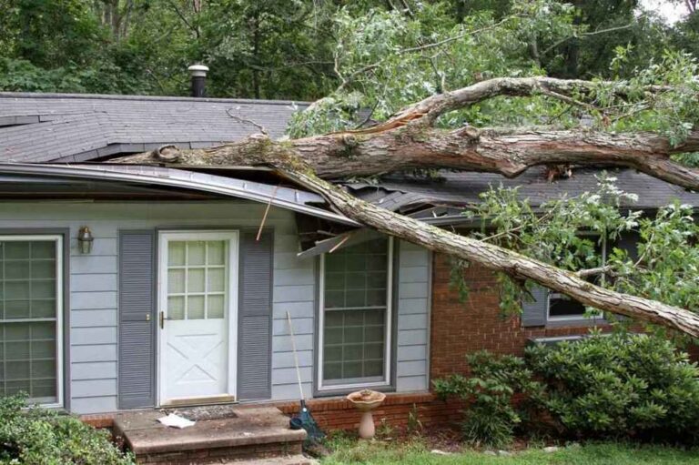 Trusted Storm Damage Roof Repair in Universal City TX